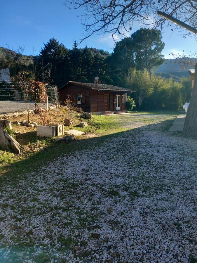 Petit Chalet En Bois Reynes Exterior photo
